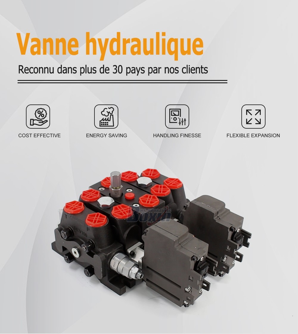 Seeking Business Partners and Agents for DCV100EMA-YT-JYT-J-K Electric Motor 2 Spool Sectional Directional Valve Distribution